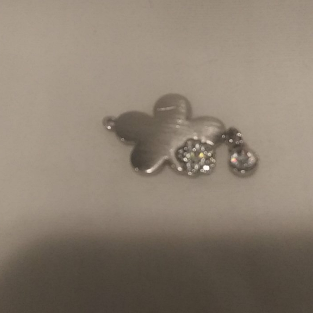 Necklace Pendent or Charm